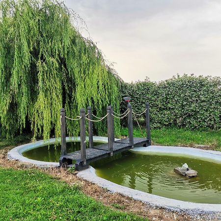 Villareggia B&B La Dea Lumaca المظهر الخارجي الصورة